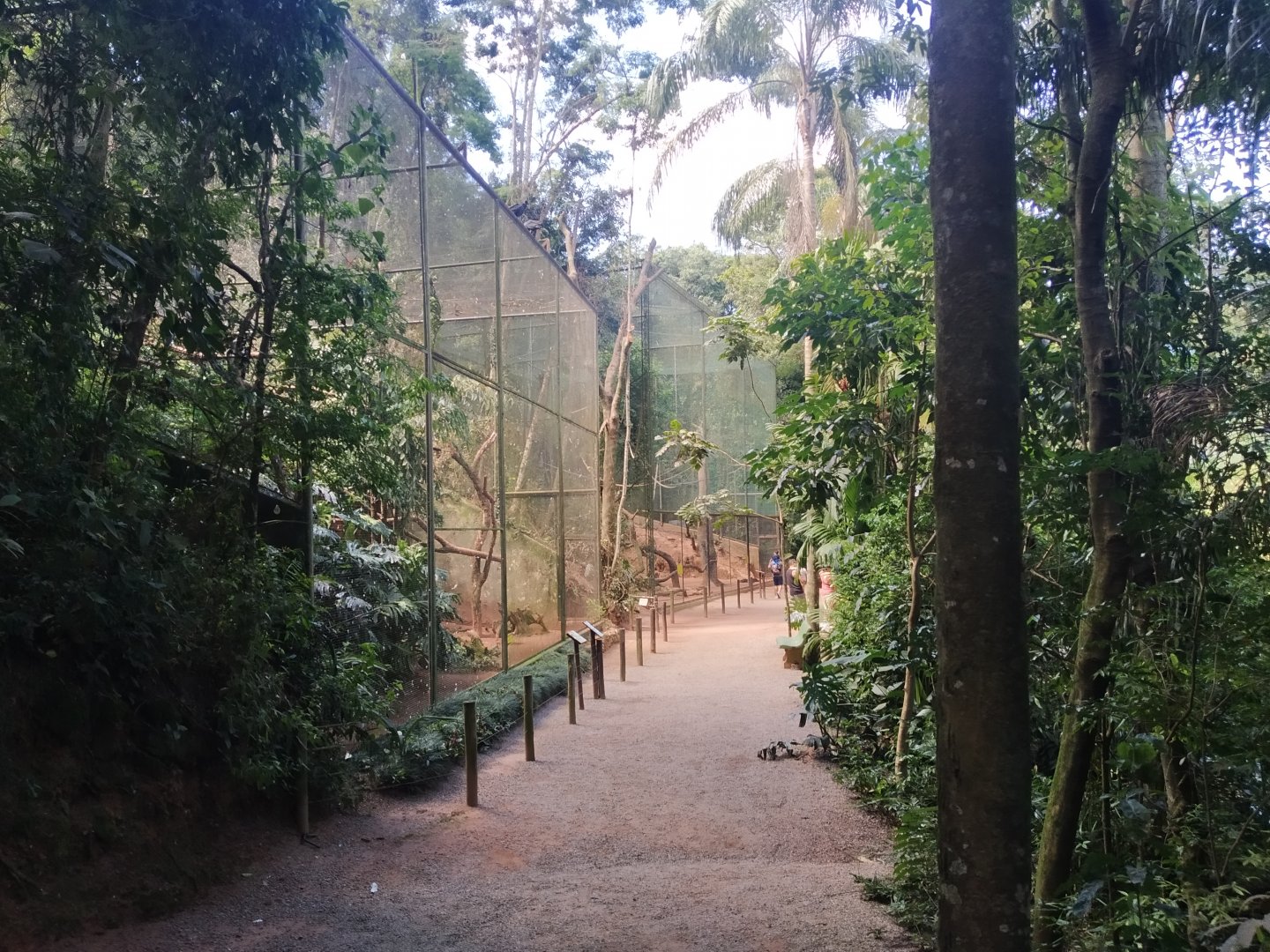 Raptors aviaries