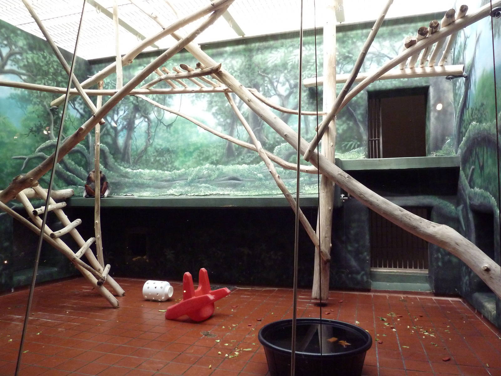 Rare Animal Conservation Center - Douc Langur Exhibit