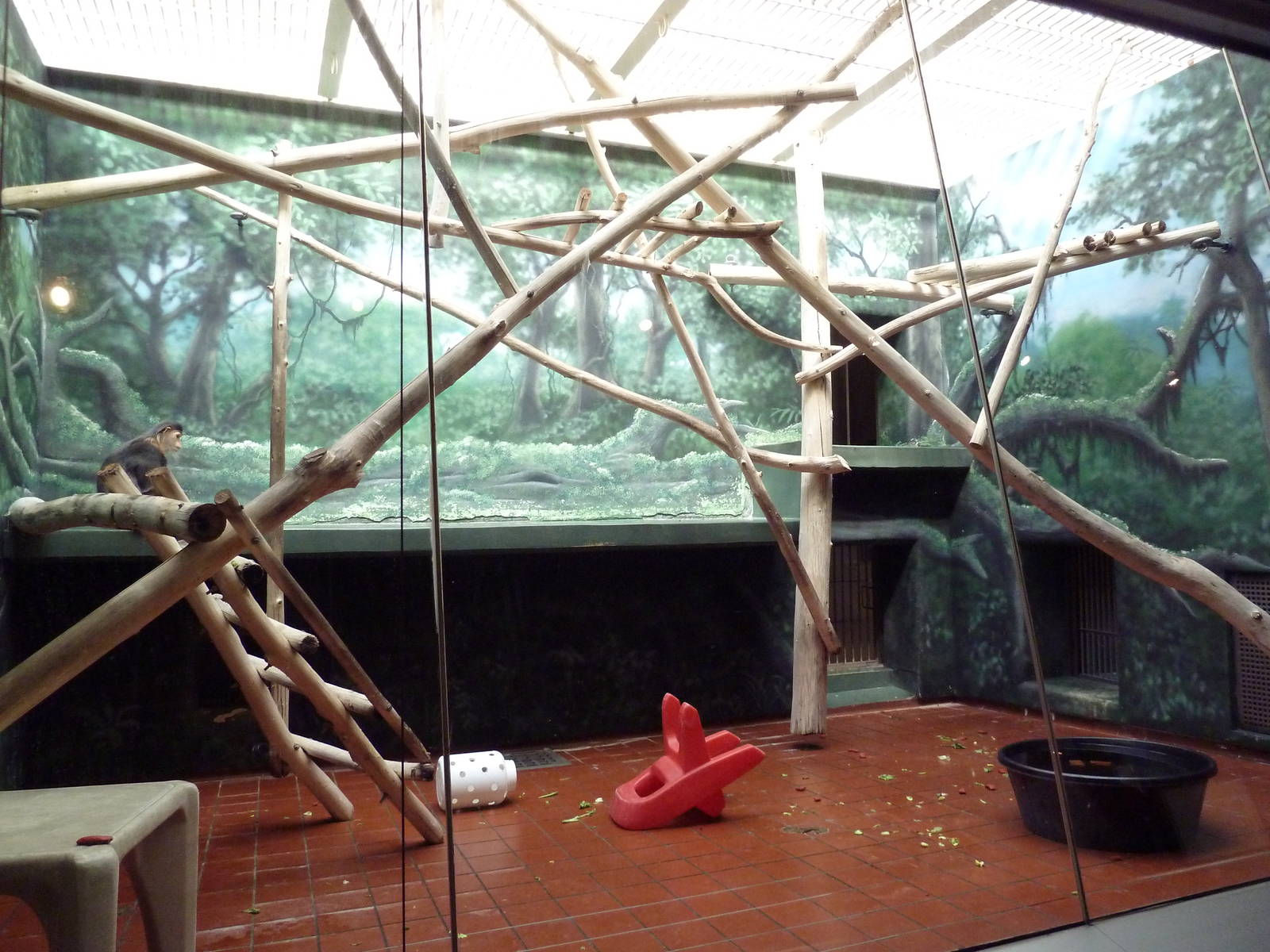 Rare Animal Conservation Center - Douc Langur Exhibit
