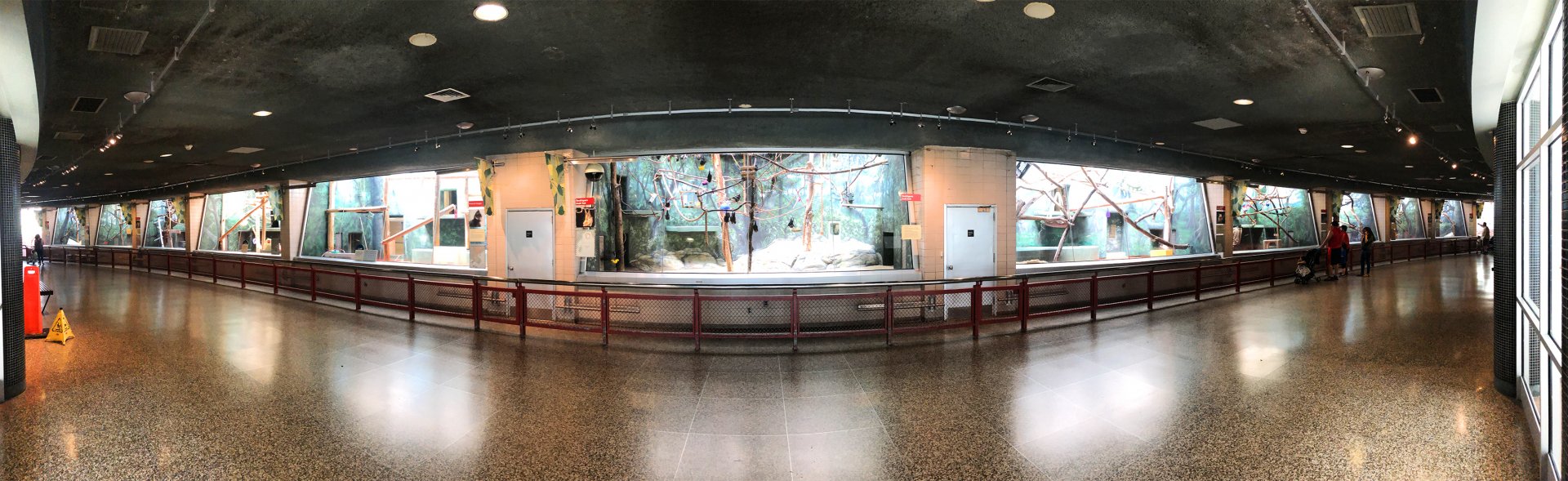 Rare Animal Conservation Center Interior