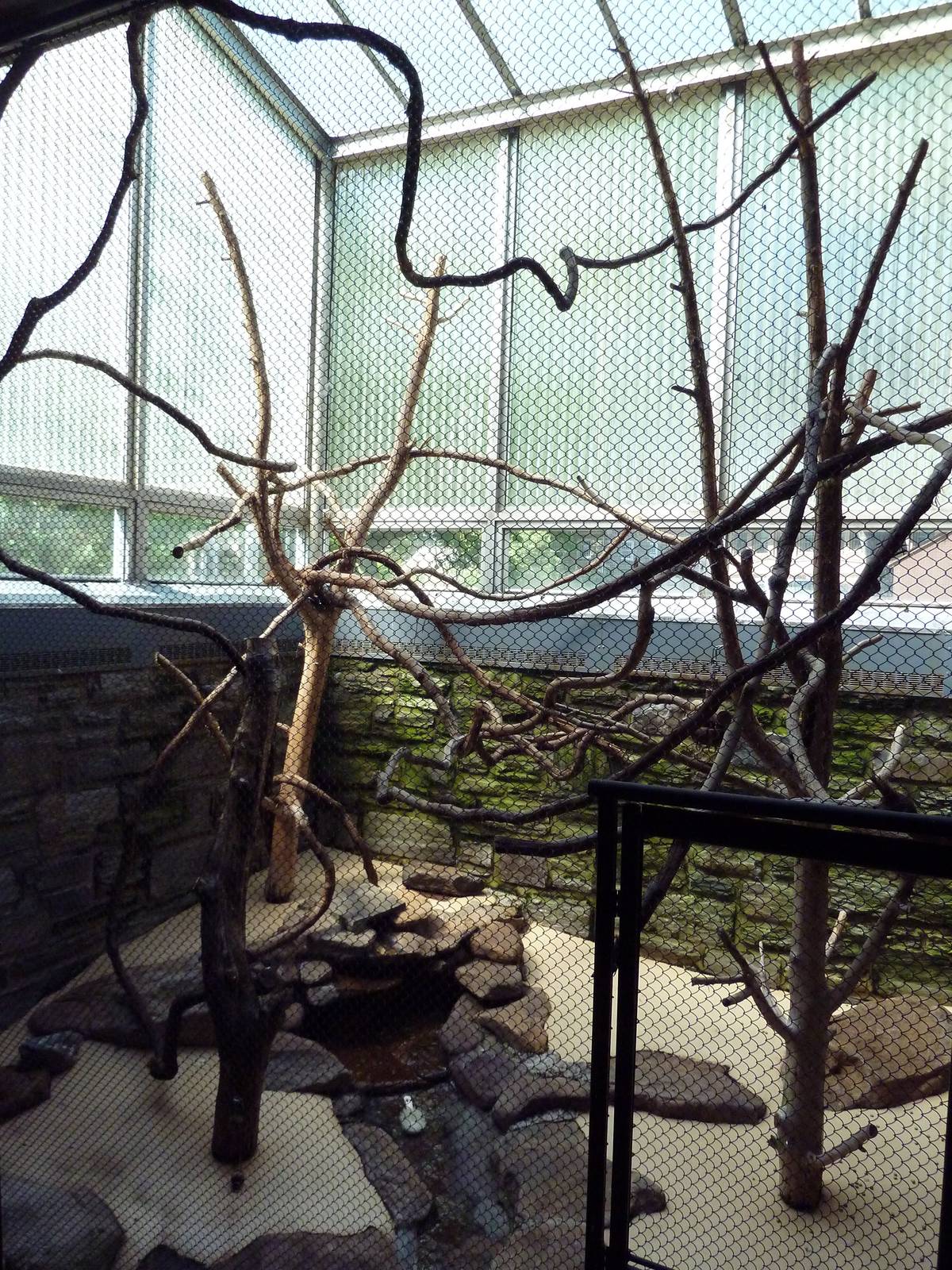 Rare Animal Conservation Center - Kea Exhibit