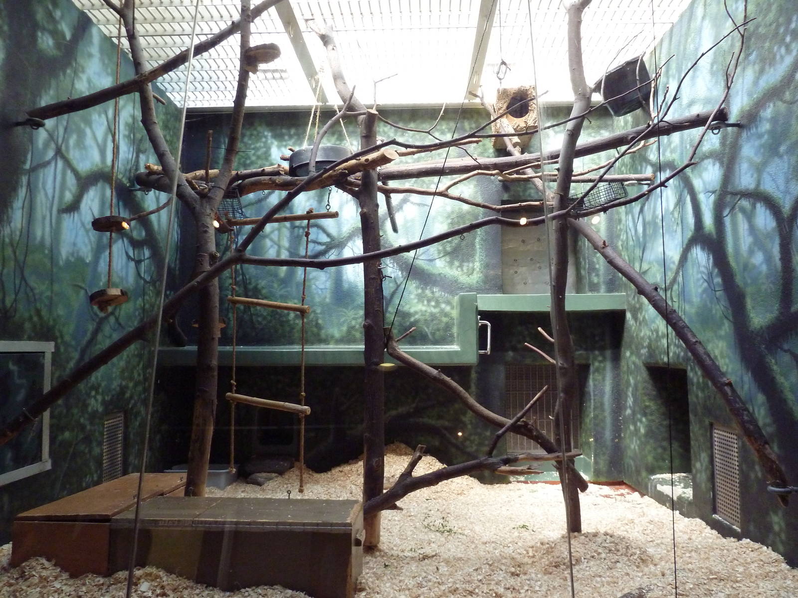 Rare Animal Conservation Center - Mongoose Lemur/Madagascar Giant Jumping R