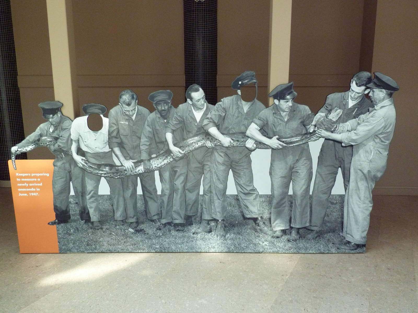 Rare Animal Conservation Center - Special Exhibition Placard