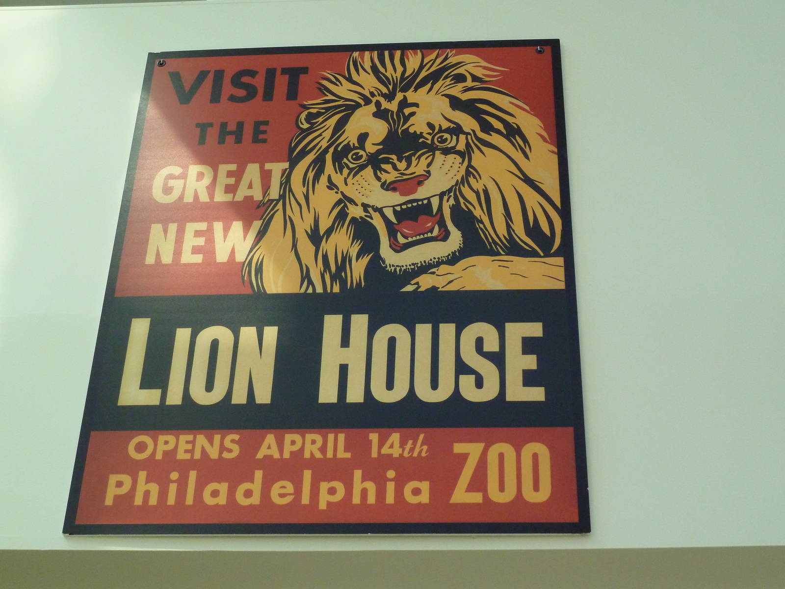 Rare Animal Conservation Center - Special Exhibition Poster
