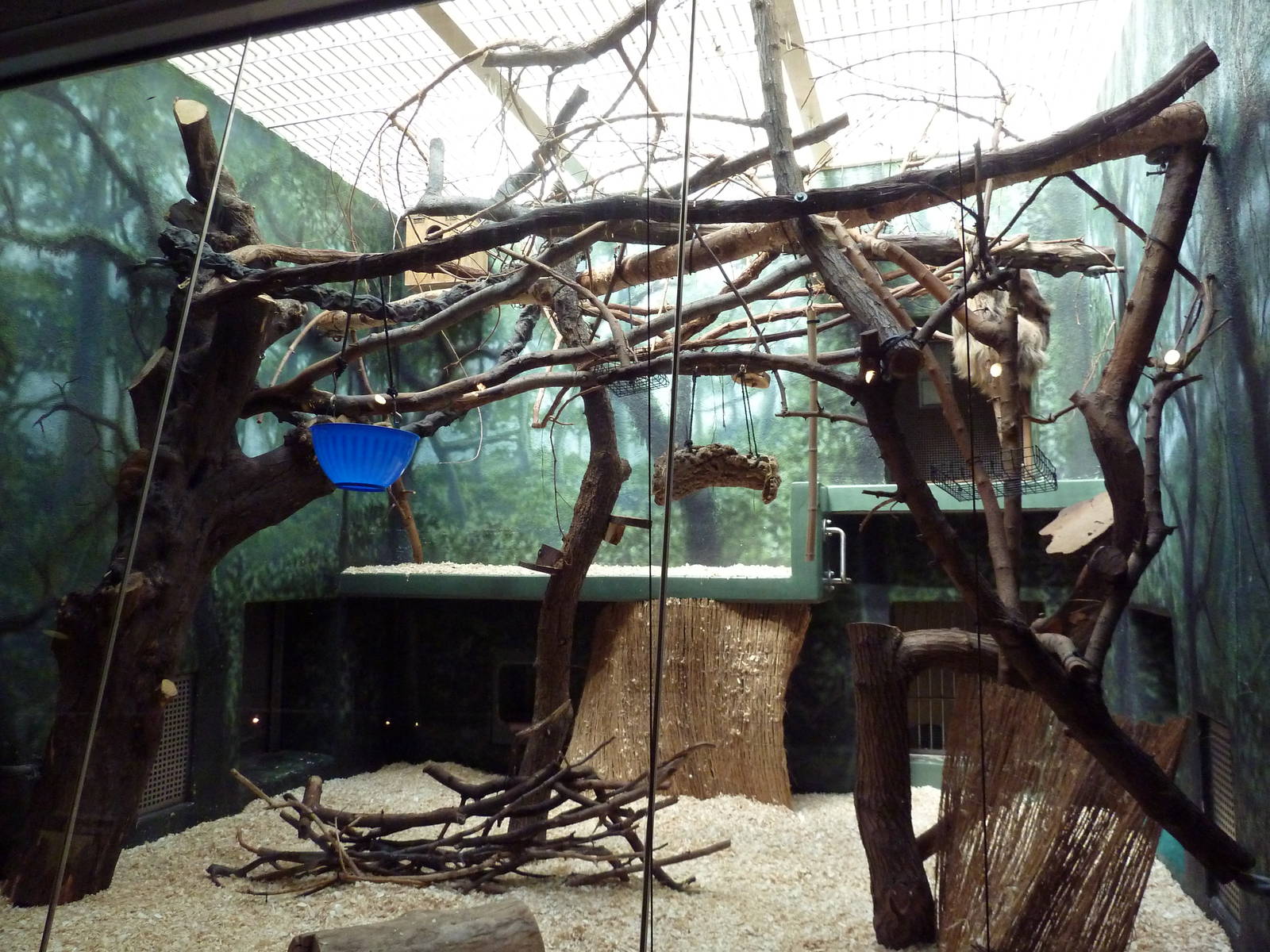 Rare Animal Conservation Center - Two-Toed Sloth/Goeldi's Monkey Exhibit
