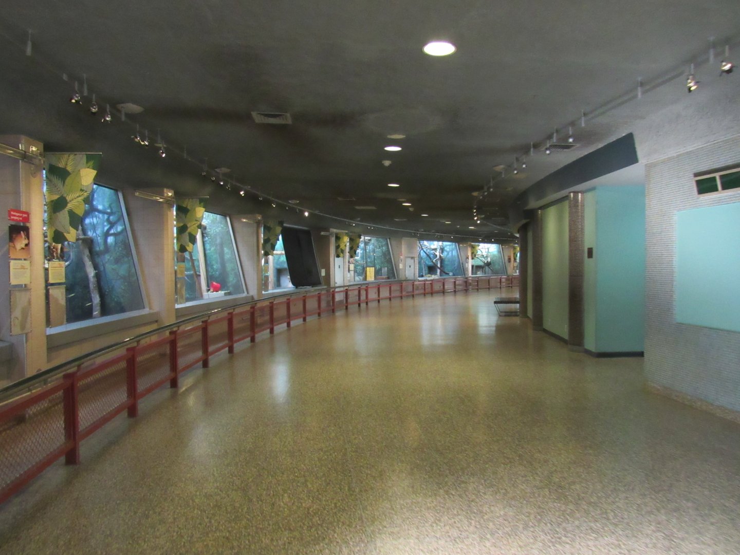 Rare Animal Conservation Center