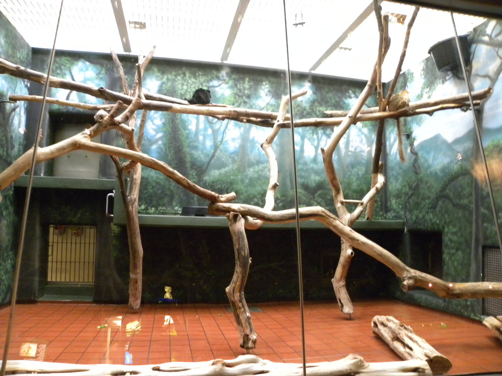 Rare Animal Conservation Center