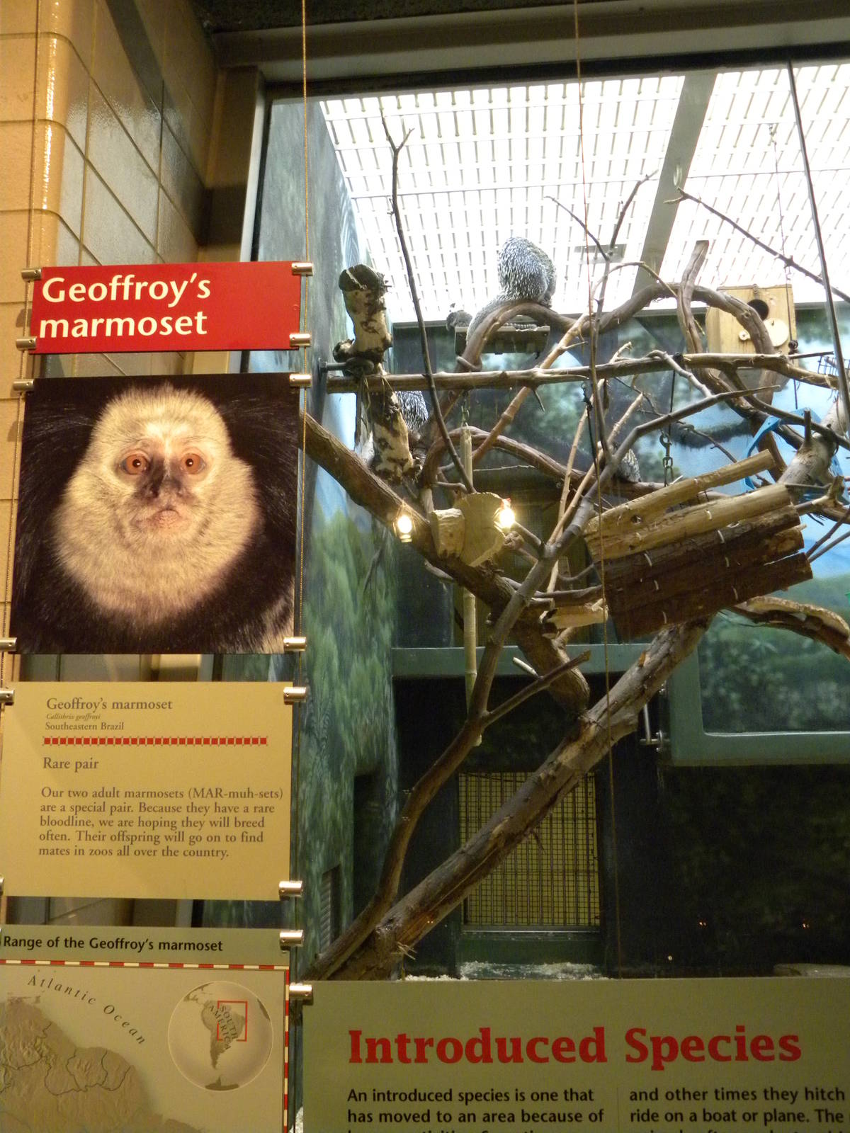 Rare Animal Conservation Center