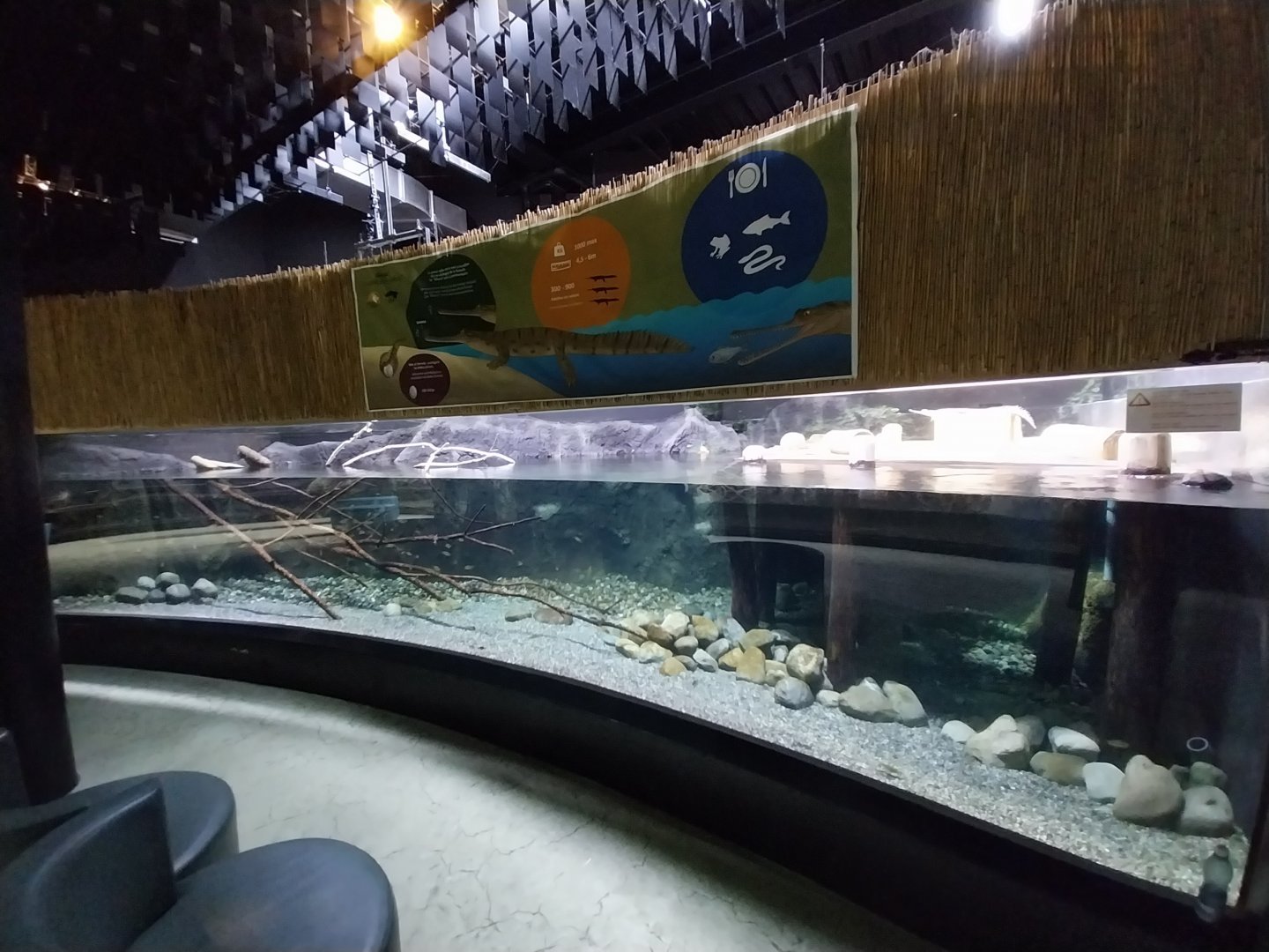 Rare animals from Asia