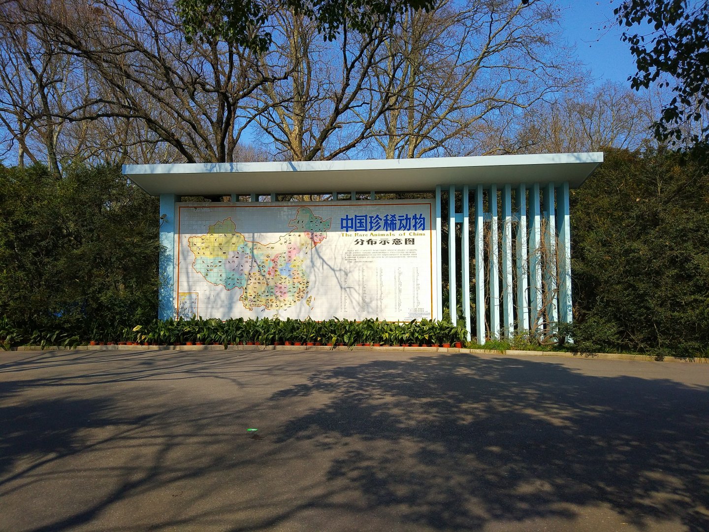 Rare Animals of China