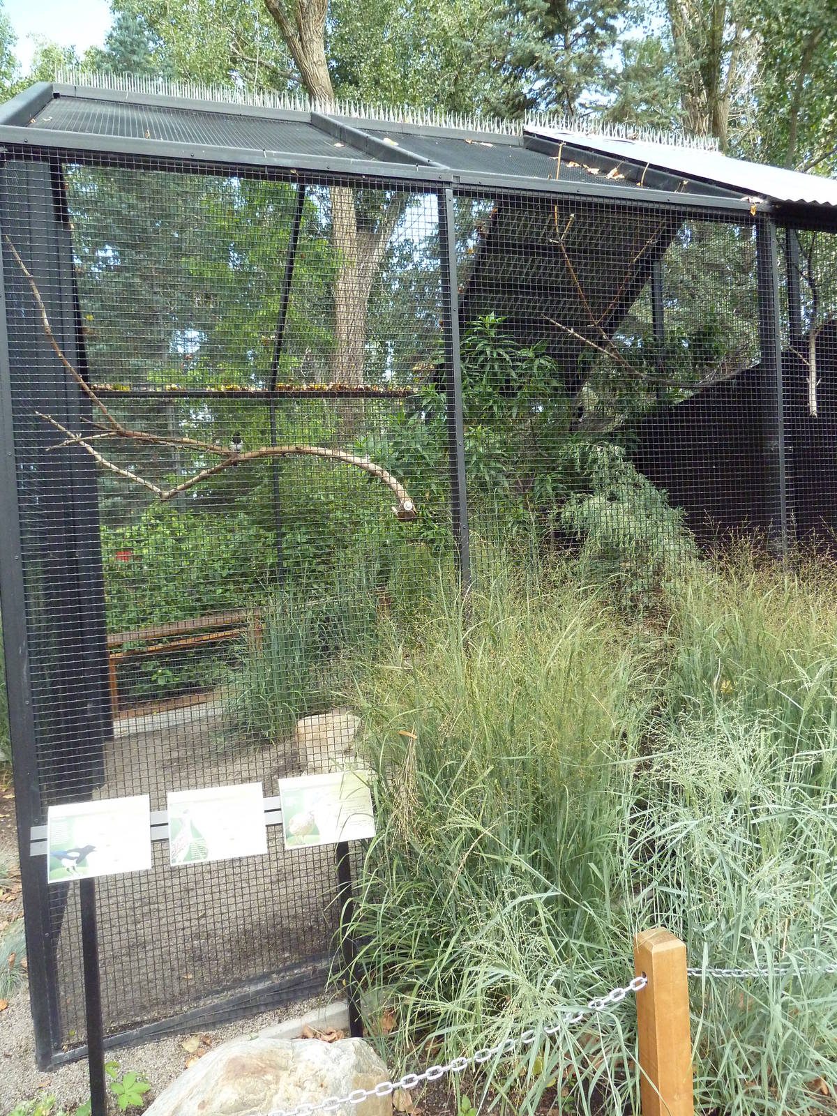 Rare Bird Exhibit Complex (3 Species)