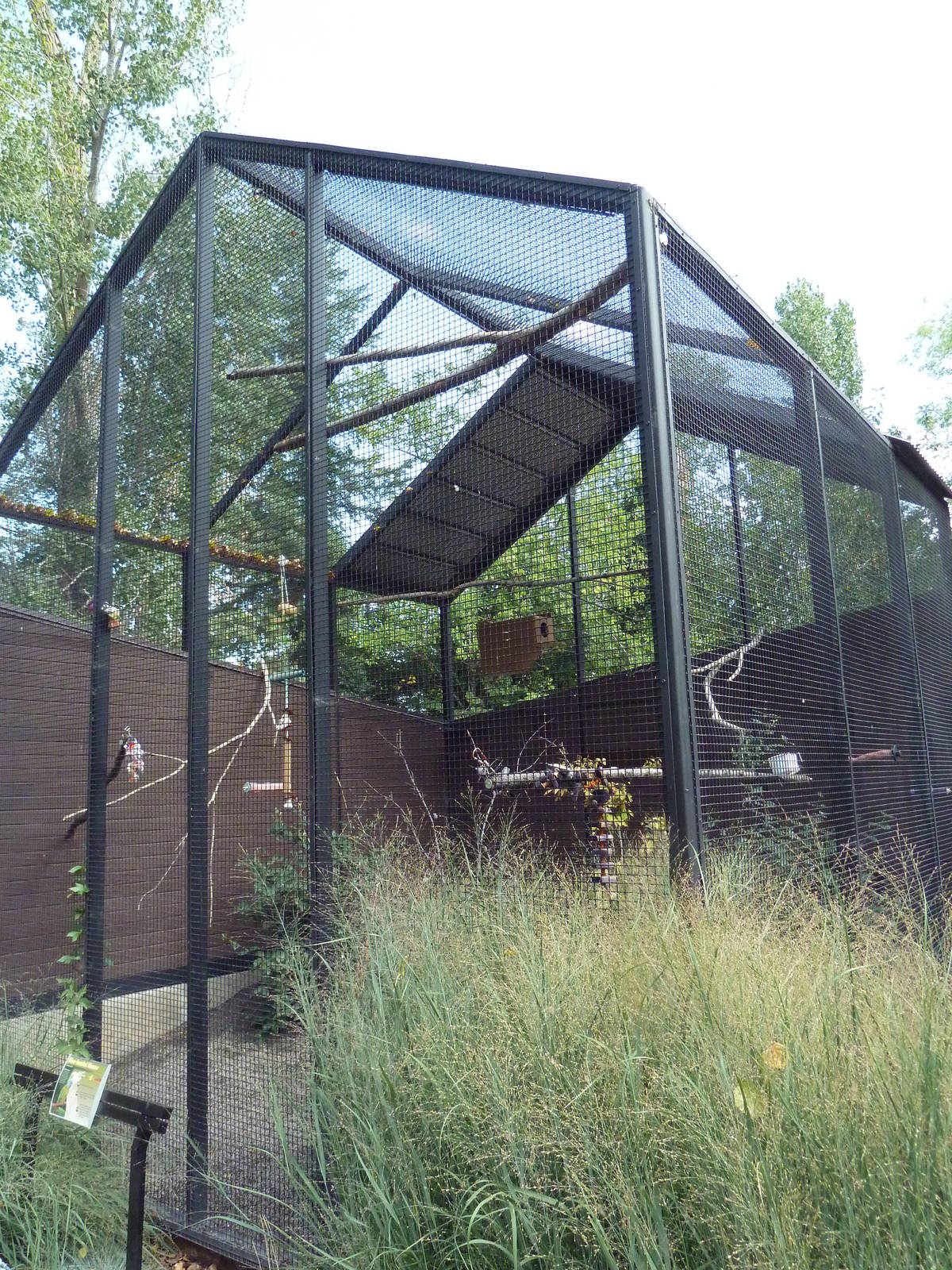 Rare Bird Exhibit Complex - Blue-Headed Macaw Exhibit