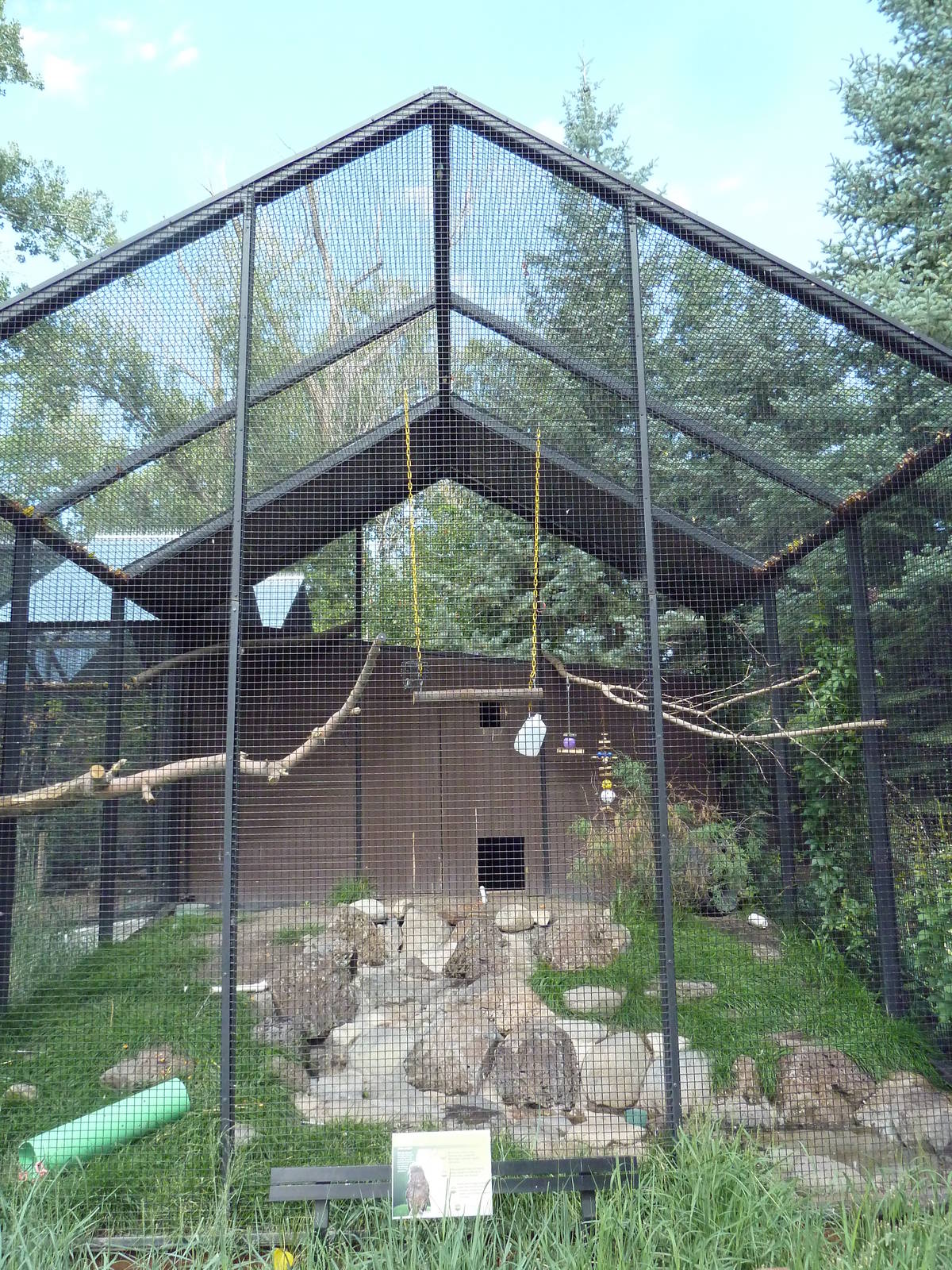Rare Bird Exhibit Complex - Kea Exhibit