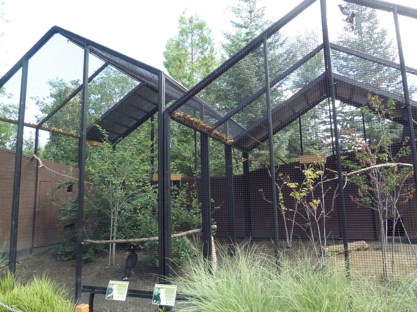 Rare Bird Exhibit Complex - Northern Helmeted Curassow/Black-Throated Magpi