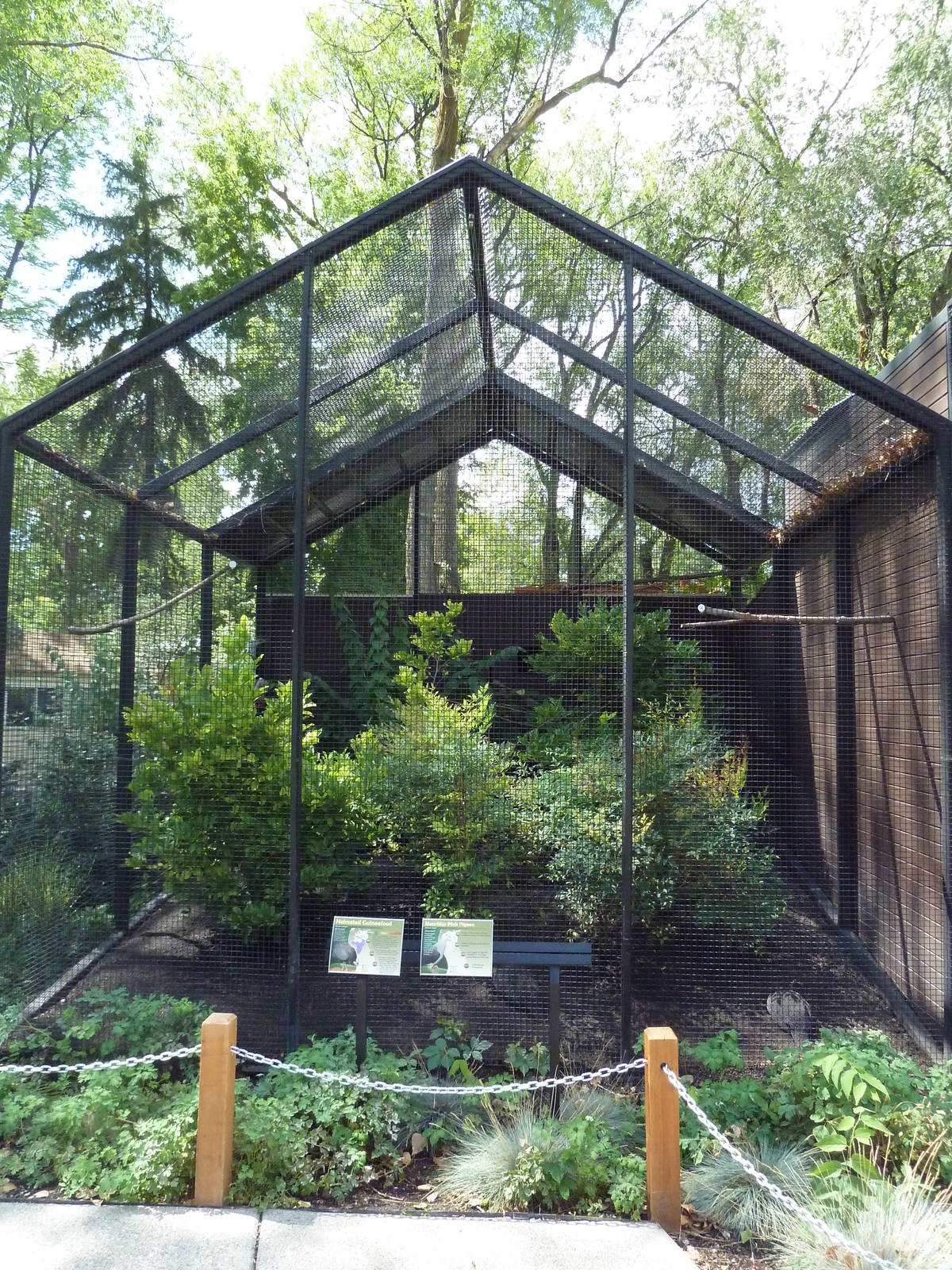 Rare Bird Exhibit Complex