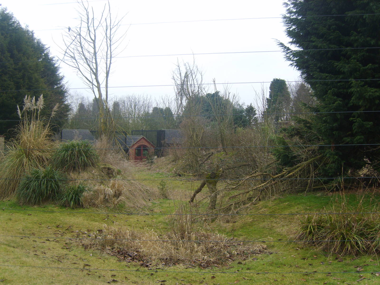 Rare Lemur Breeding Centre Outdoor Enclosure