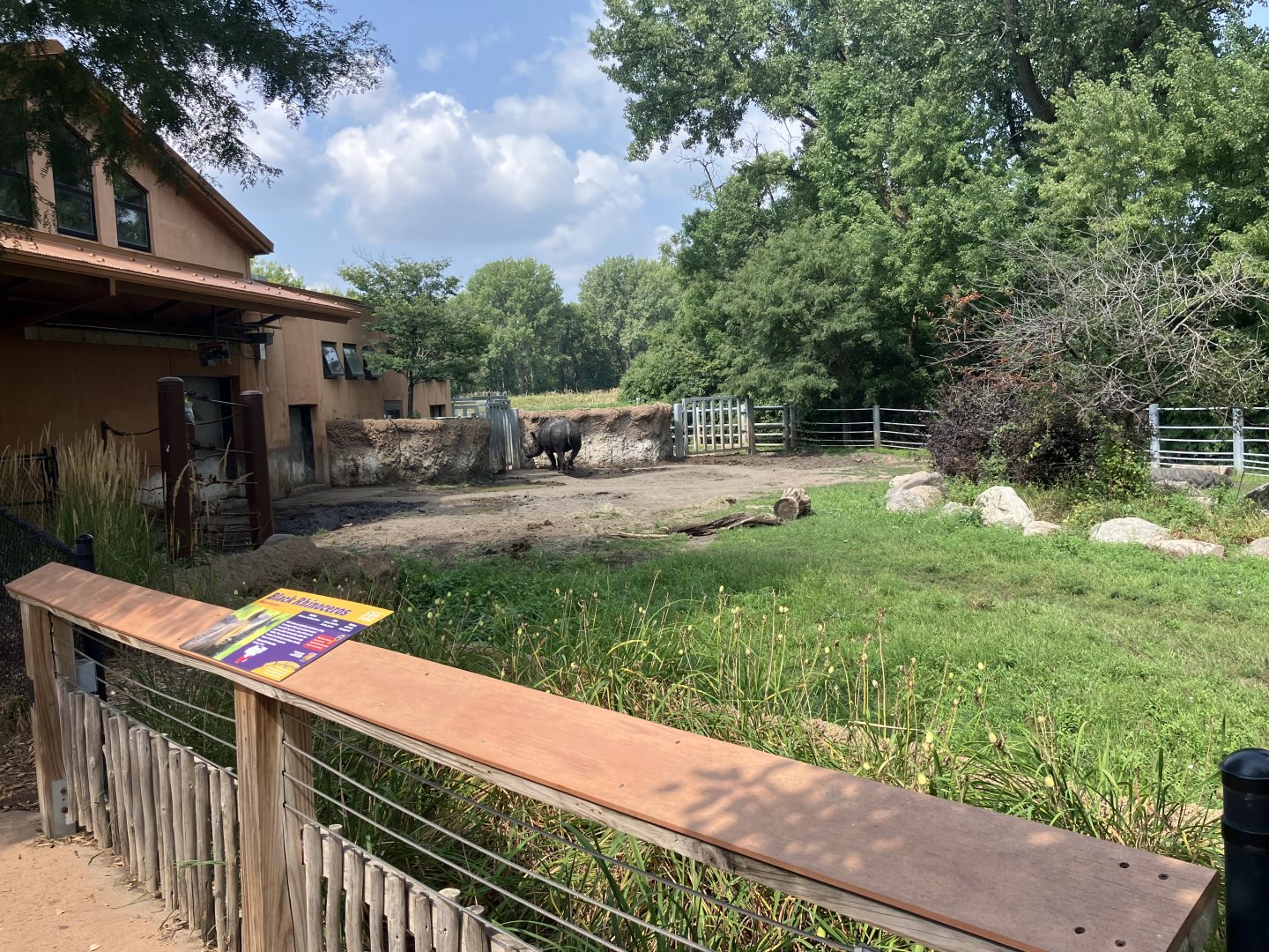 Rare Rhinos of Africa - Eastern Black Rhino Exhibit