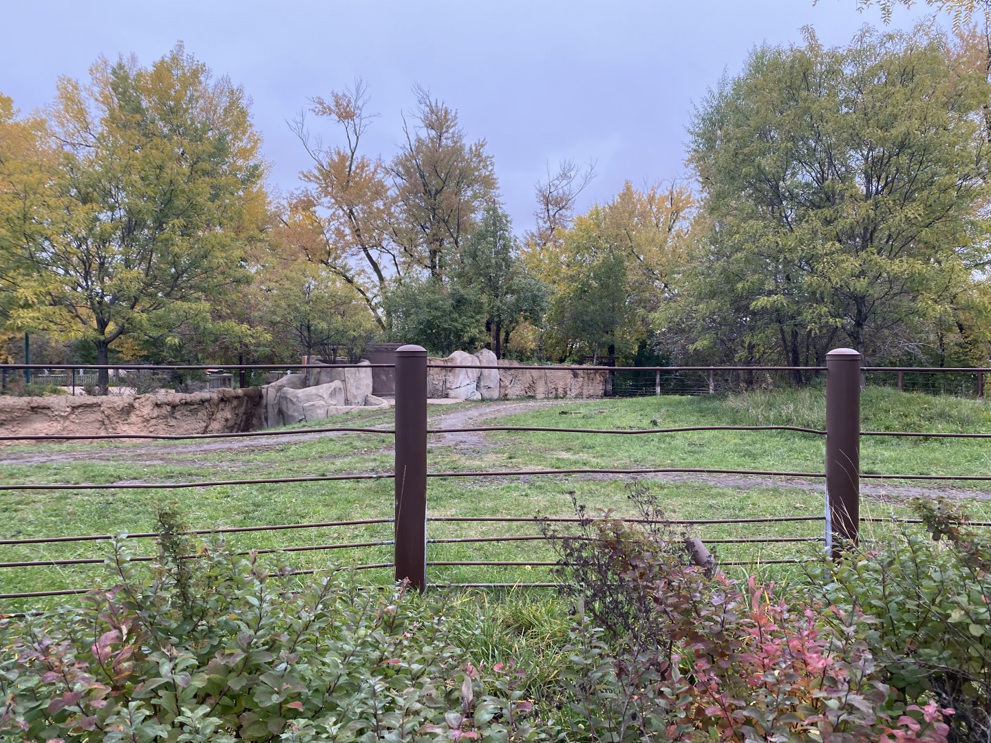 Rare Rhinos of Africa - Eastern Black Rhinoceros Exhibit