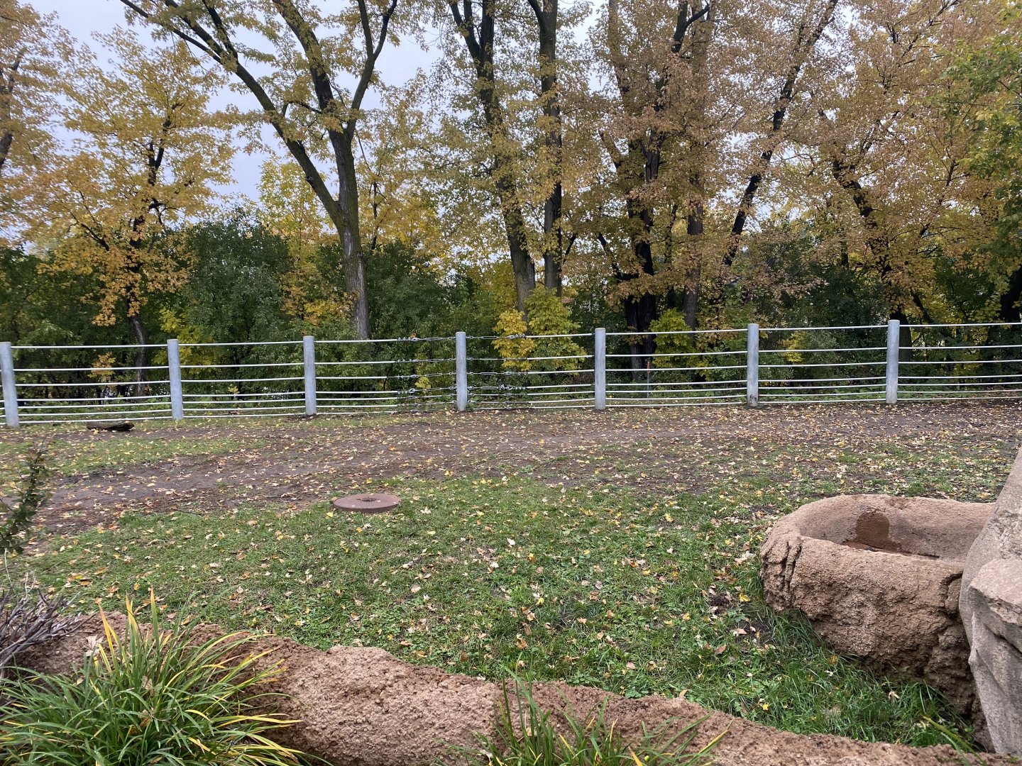 Rare Rhinos of Africa - Eastern Black Rhinoceros Exhibit