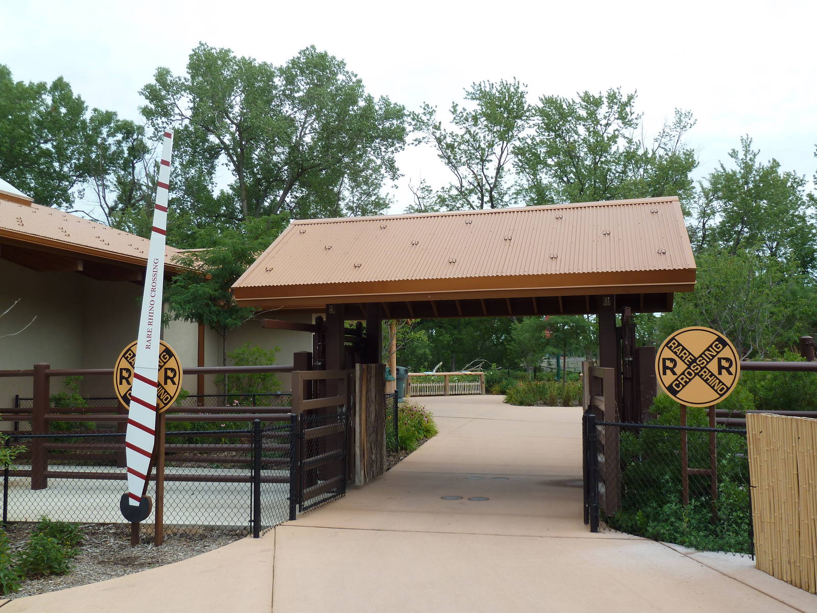 Rare Rhinos of Africa - Rhino Crossing