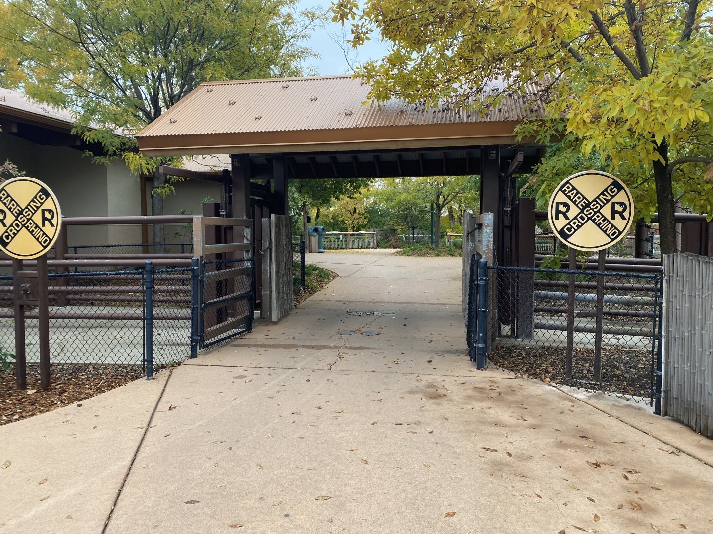 Rare Rhinos of Africa - Rhino Crossing