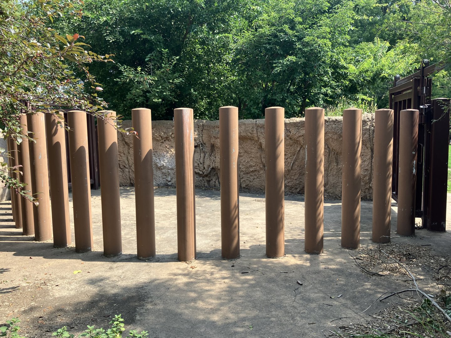 Rare Rhinos of Africa - Transfer Chute