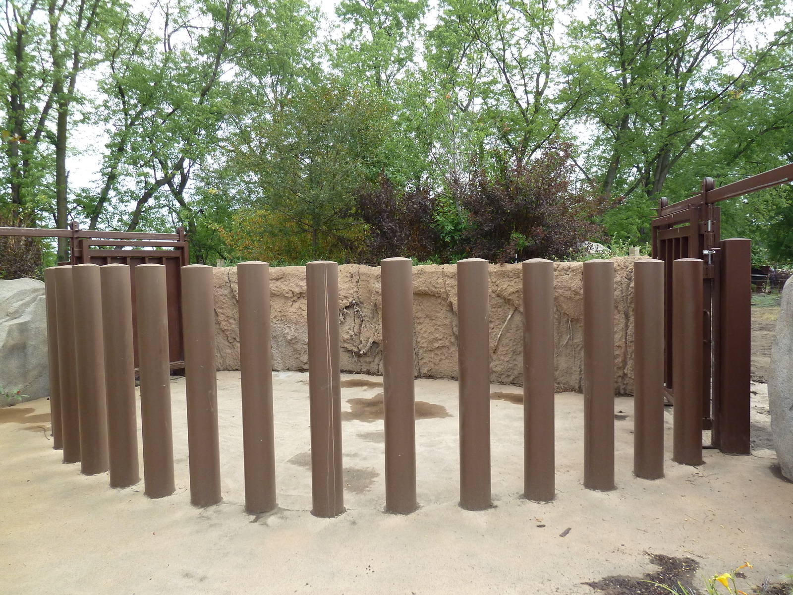 Rare Rhinos of Africa