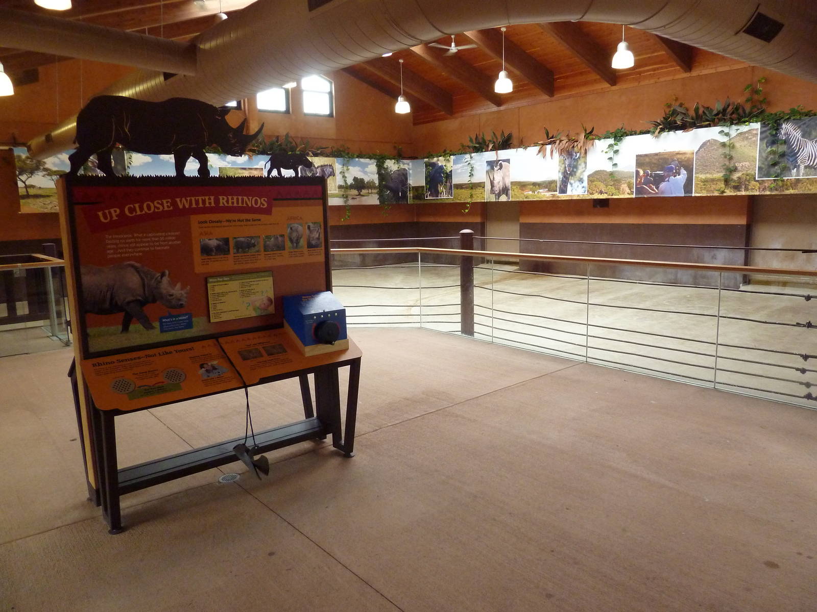 Rare Rhinos of Africa