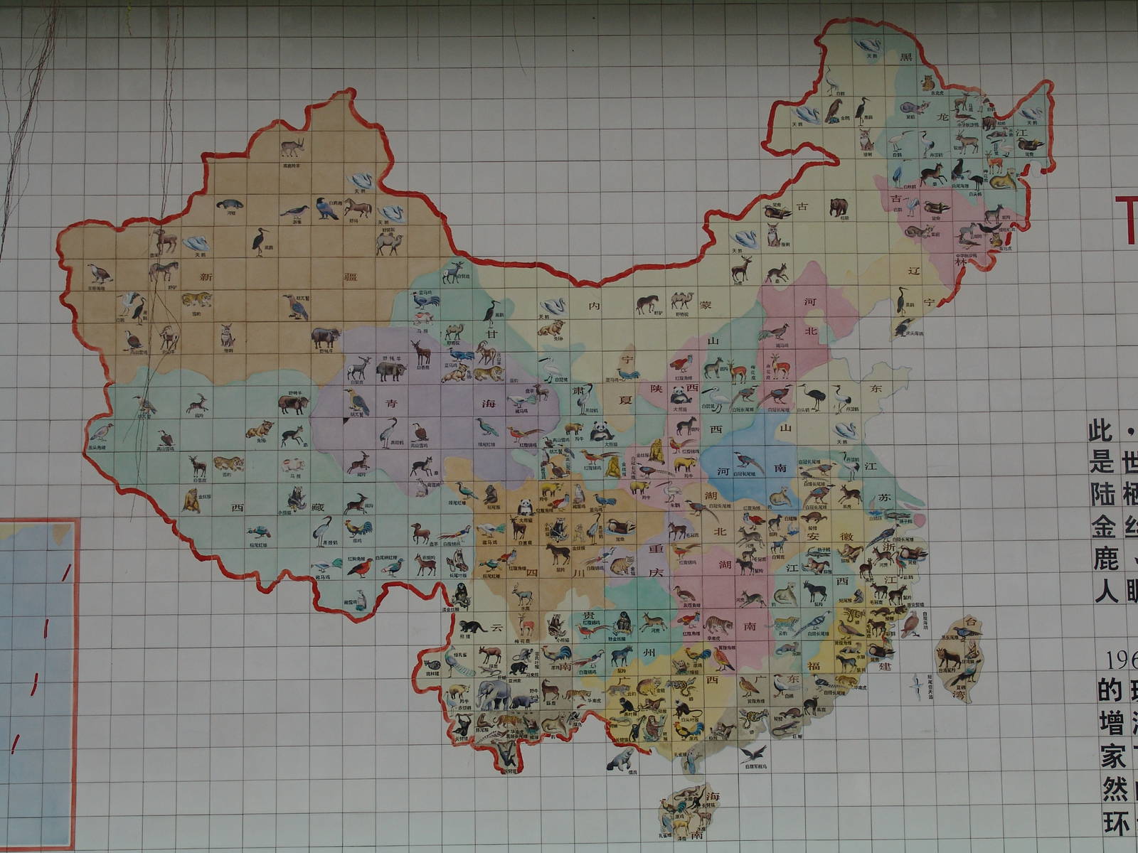 "Rare species of China"