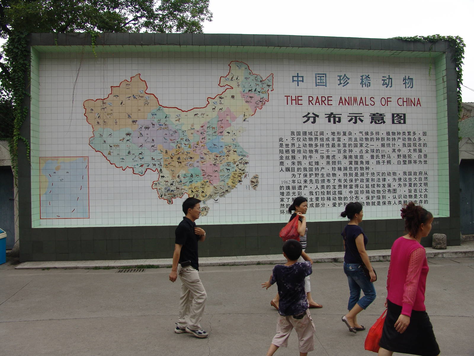 "Rare species of China"