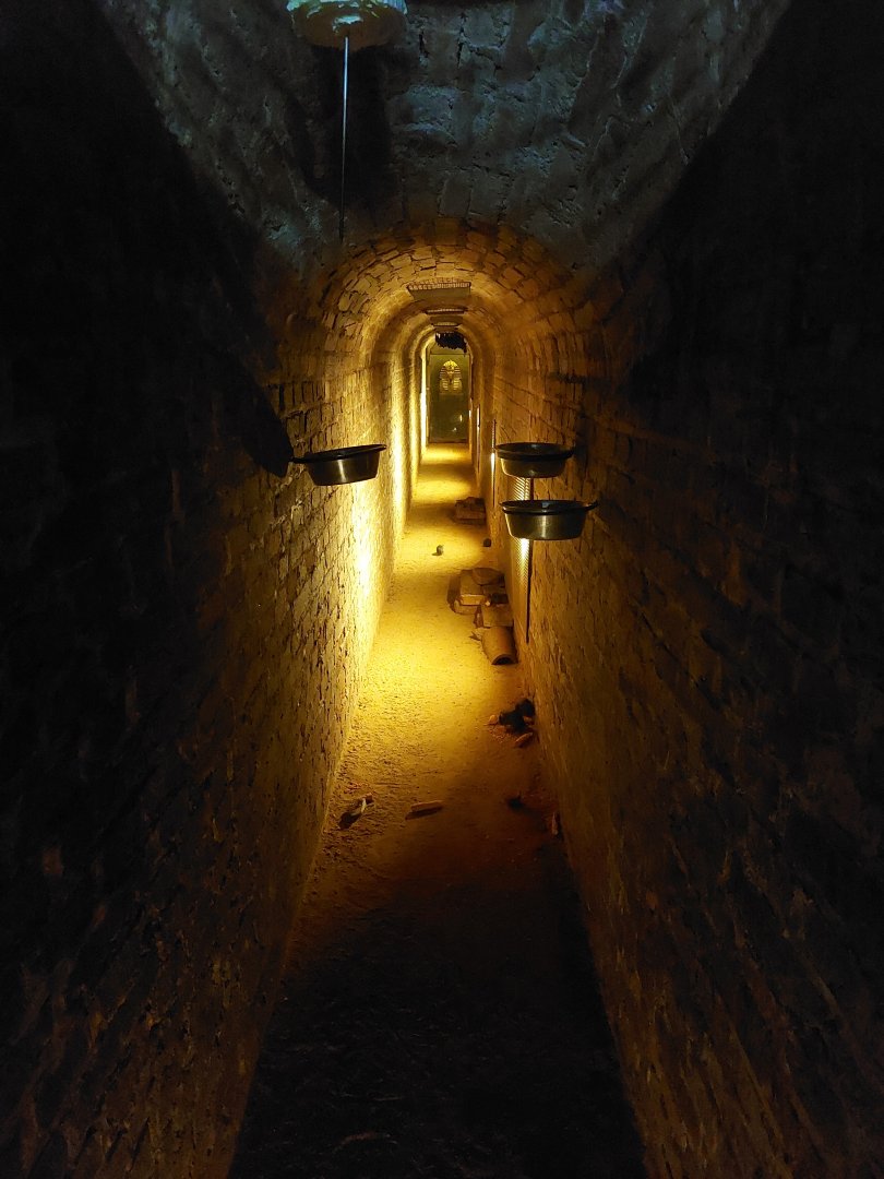 Rat & Egyptian fruit bat exhibit