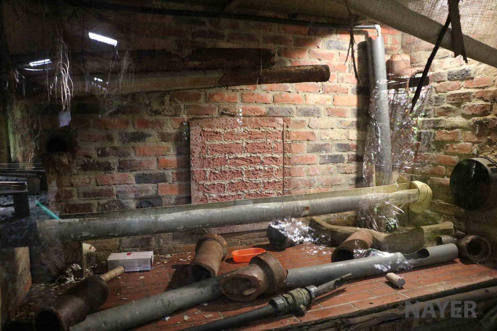 Rat enclosure - Bioparque la Reserva, March 2016