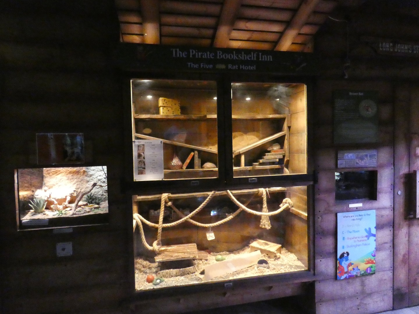 Rat exhibit - Skegness Aquarium