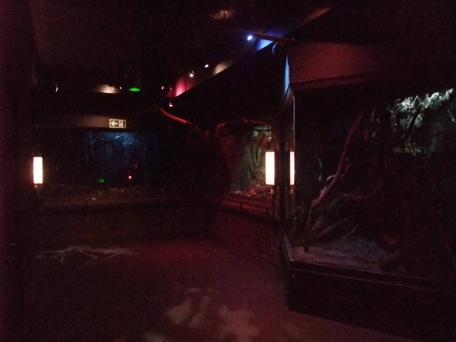 Rat Exhibits at London, 16/11/11