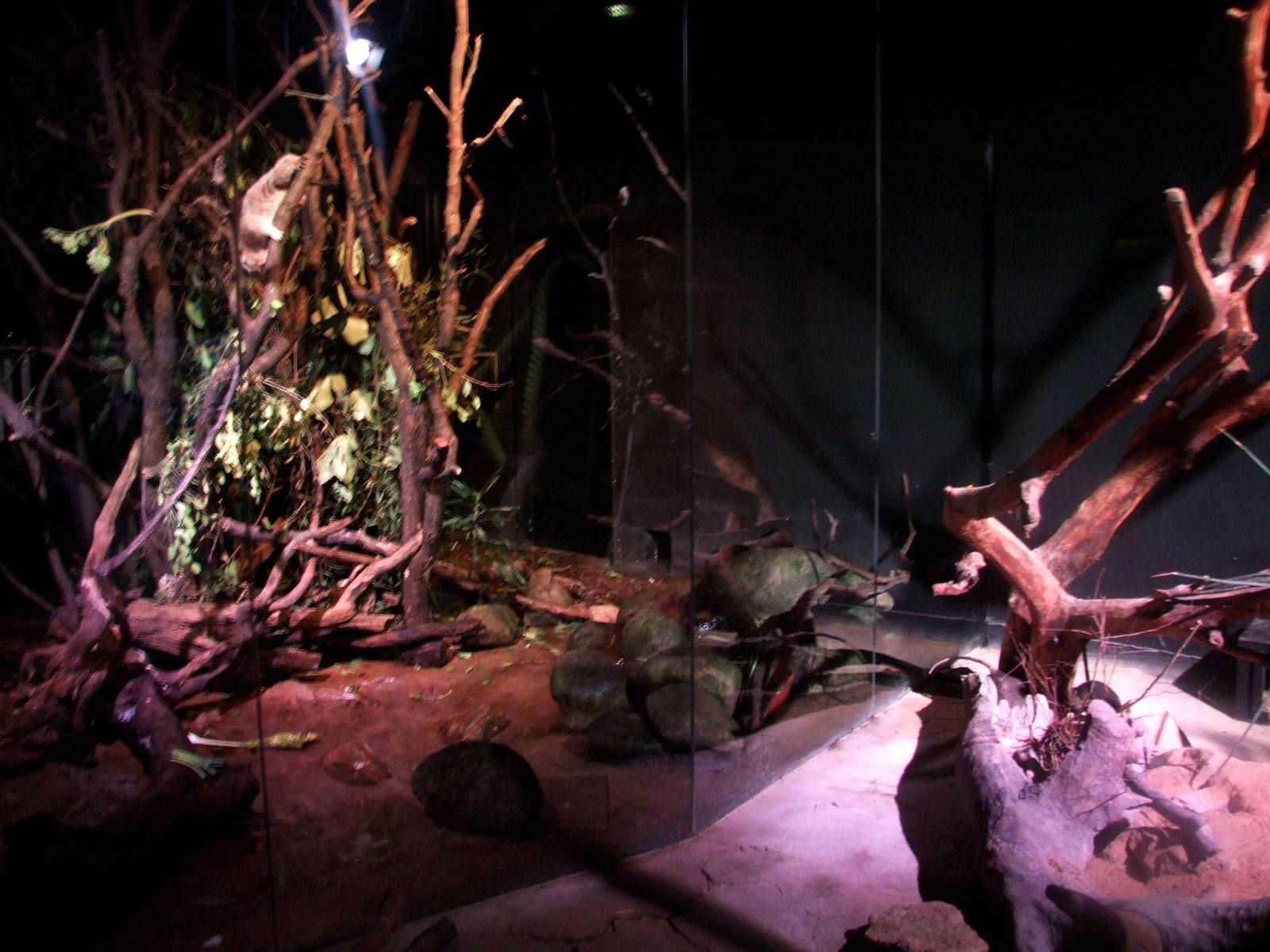 Rat House Interior at Vienna, 14/06/13