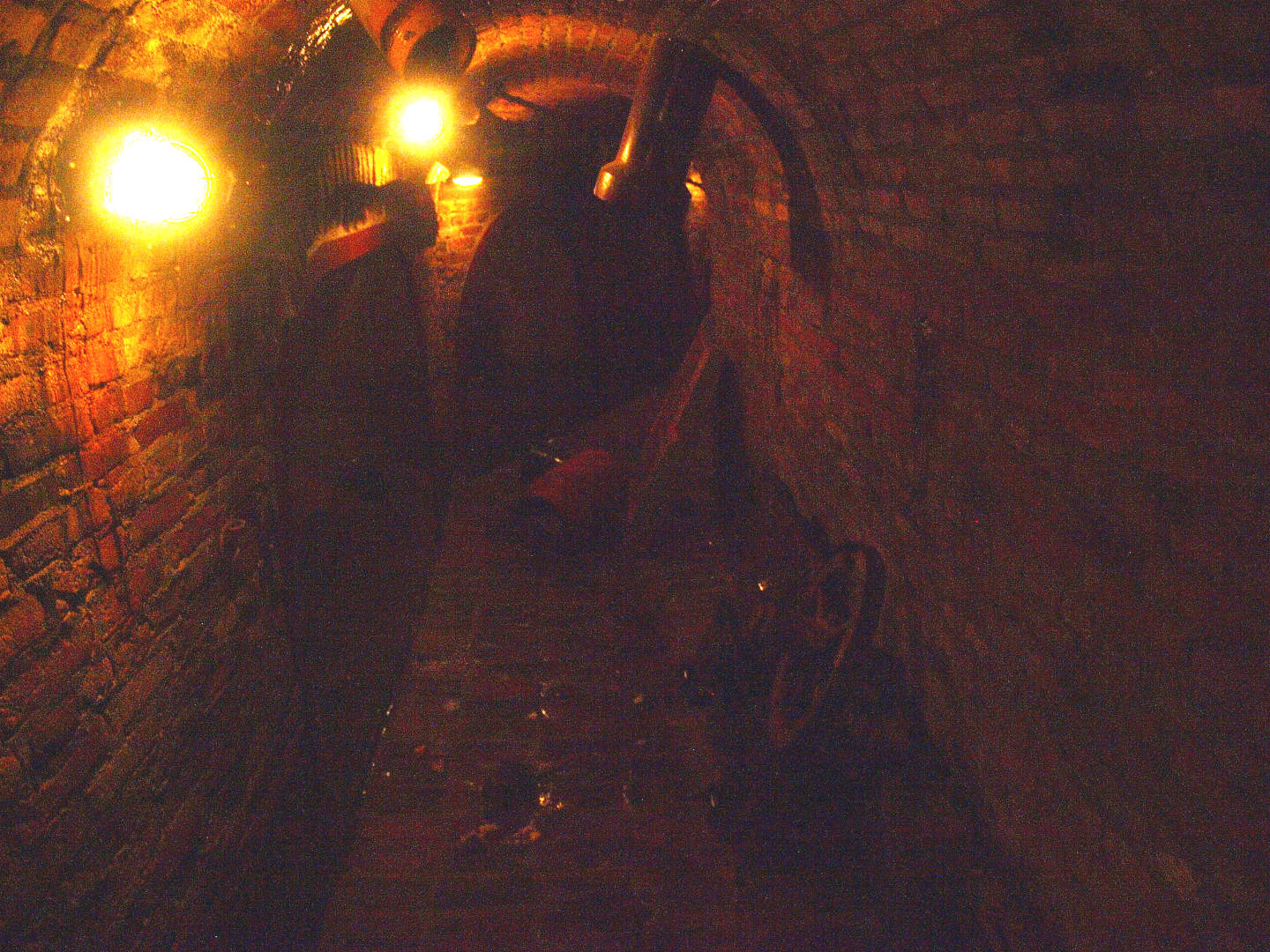 Rat Sewer - Rat exhibit (not the greatest or clearest image), 2015-07-19