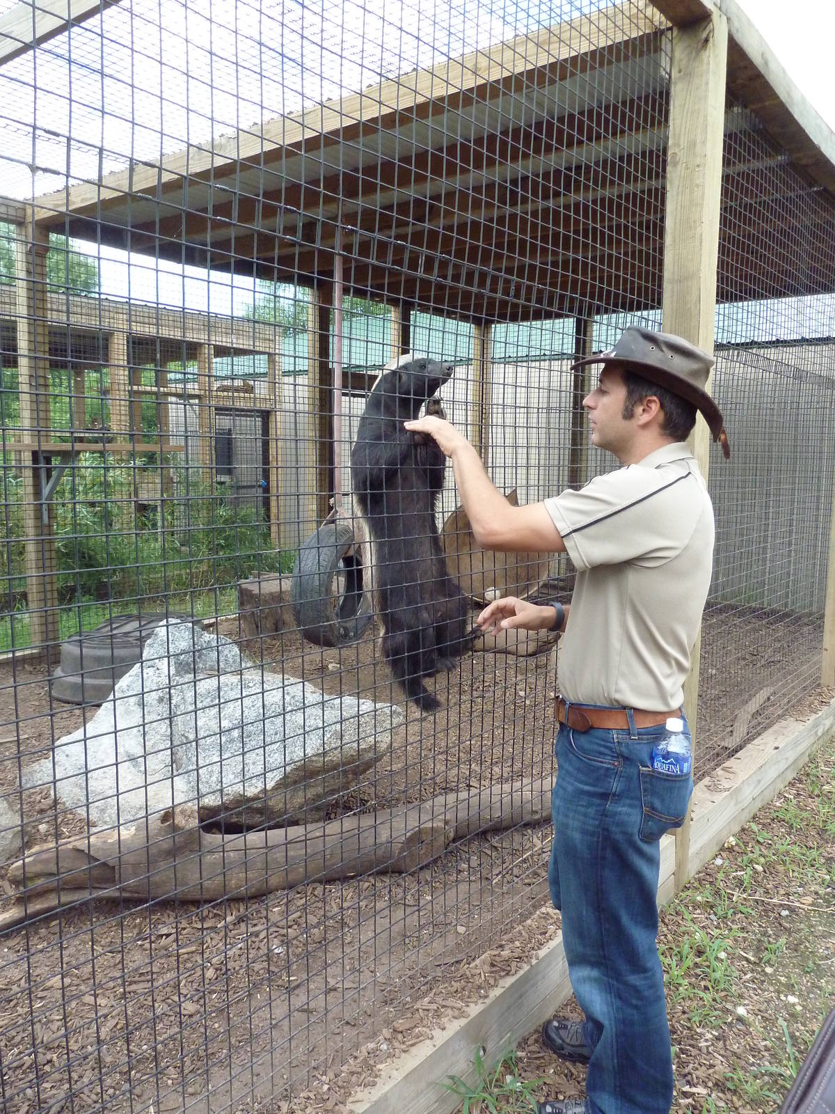 Ratel + Assistant Director