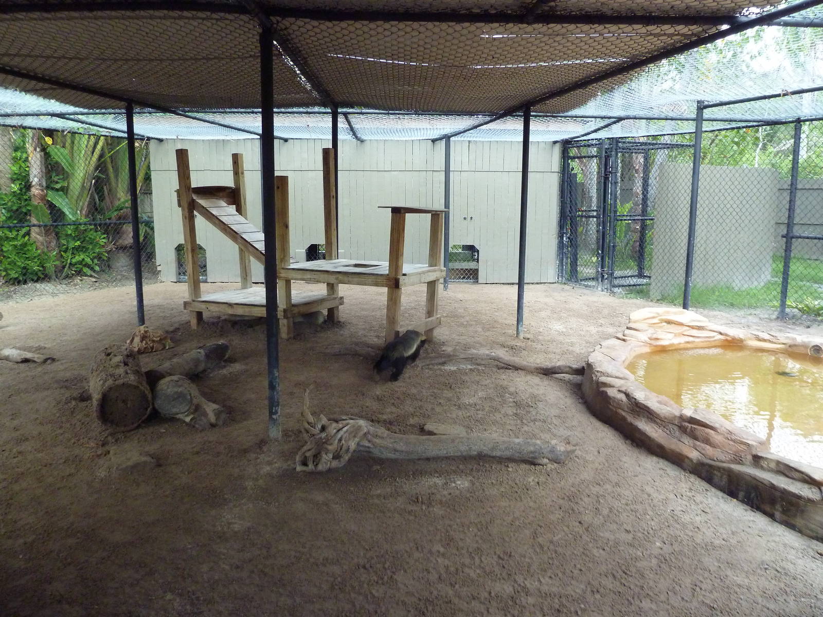Ratel Exhibit