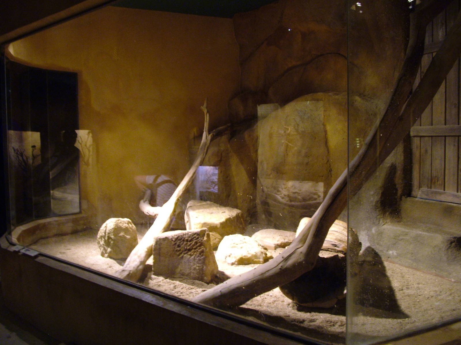 Ratel indoor exhibit at Prague, 24/05/10