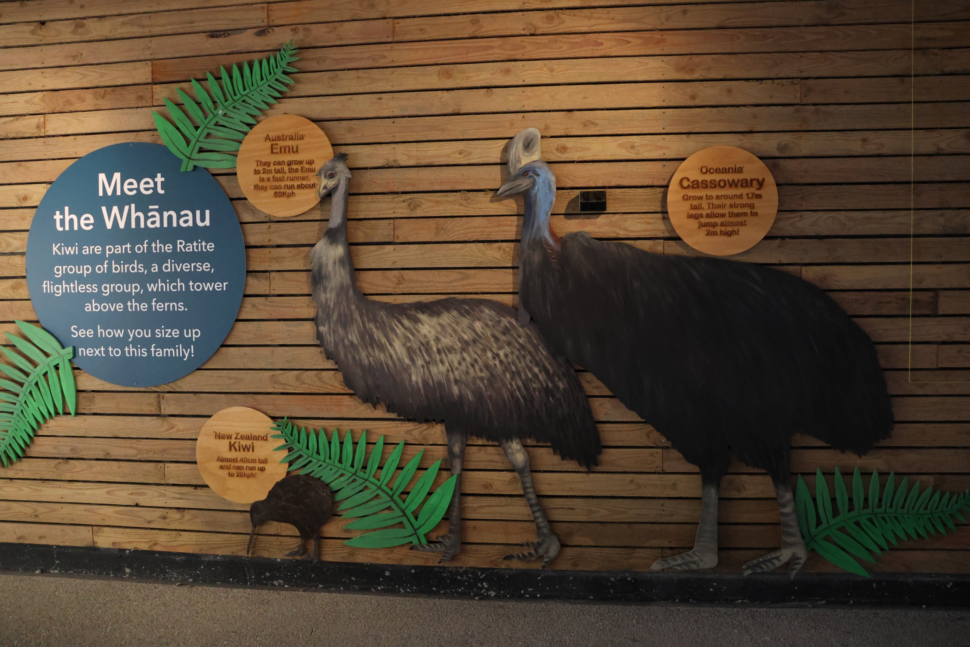 Ratite height signage