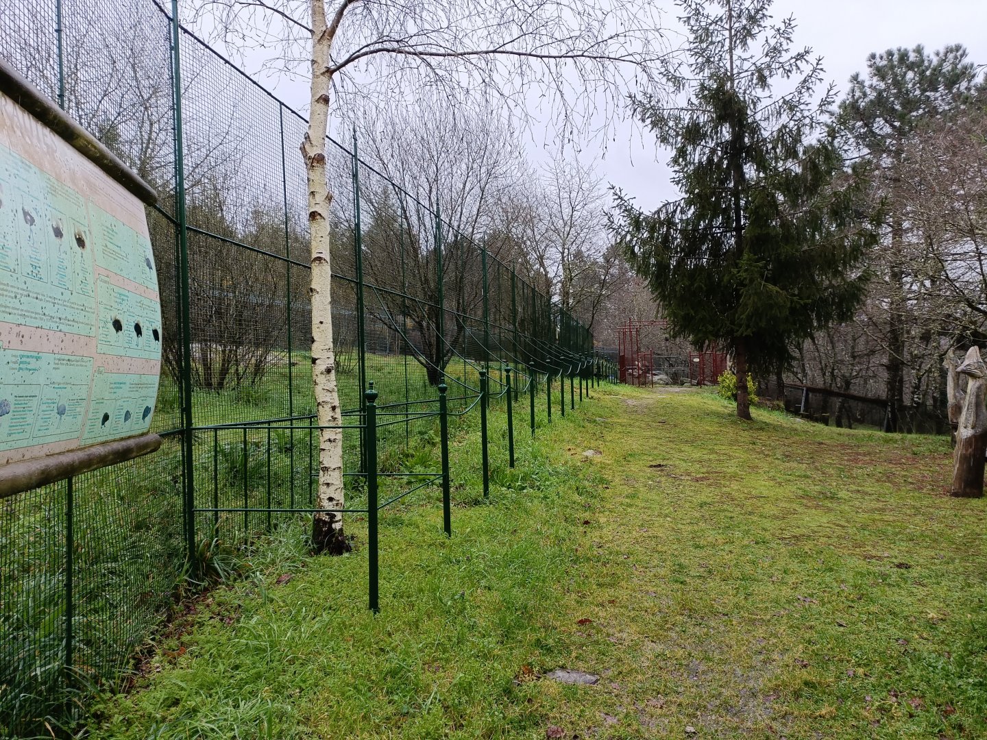 Ratites zone - Avifauna Lugo