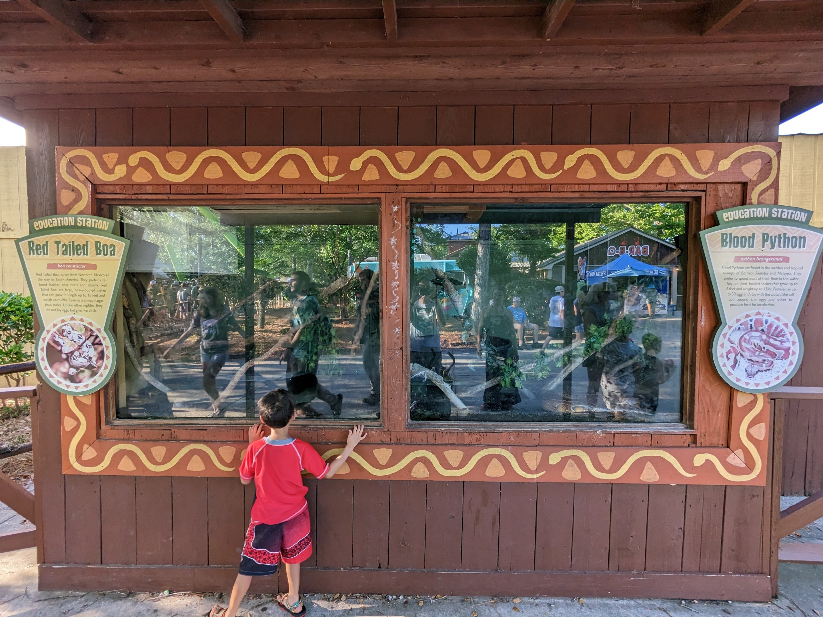 Rattler (ride) line - Boa and Python tanks