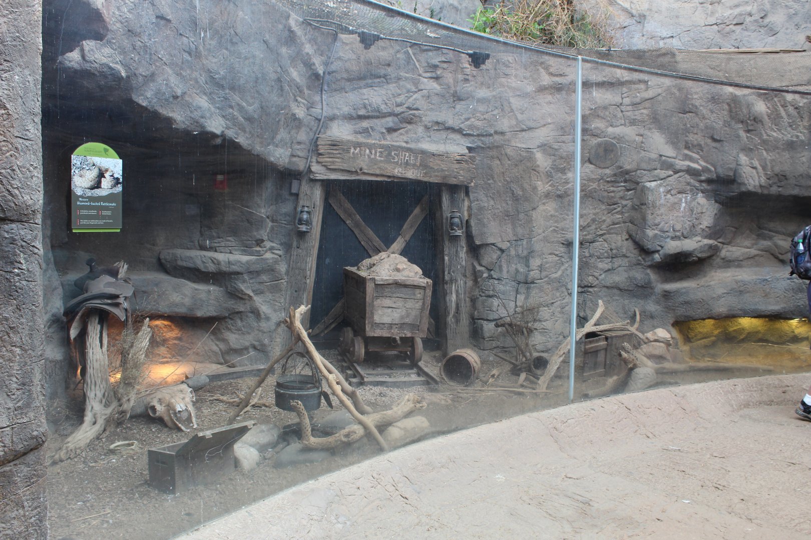 Rattlesnake Canyon Exhibit - Desert Dome