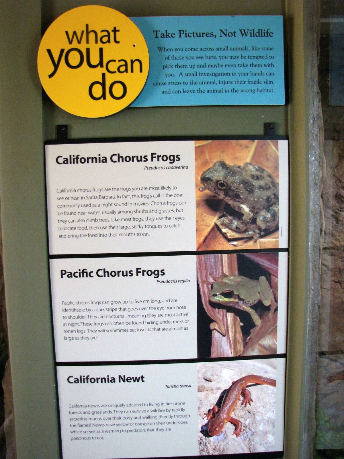 Rattlesnake Canyon Exhibit Signage