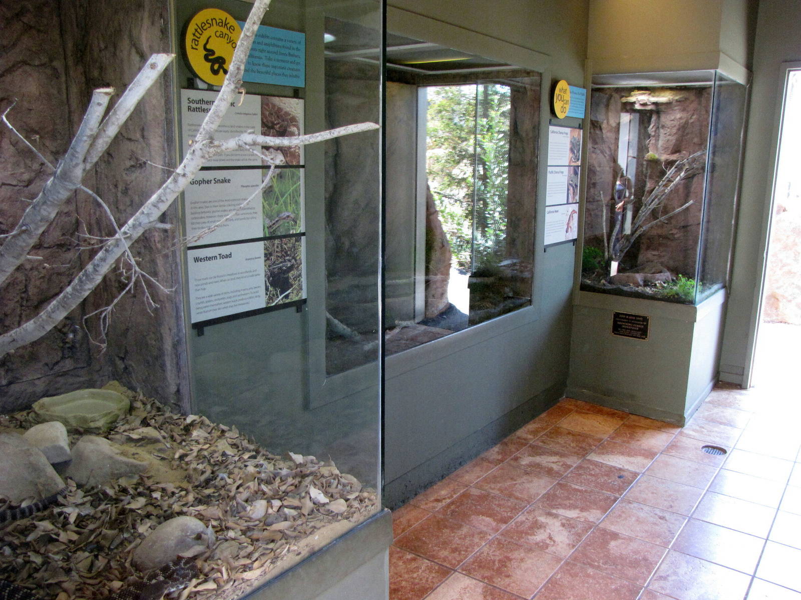 Rattlesnake Canyon Exhibits