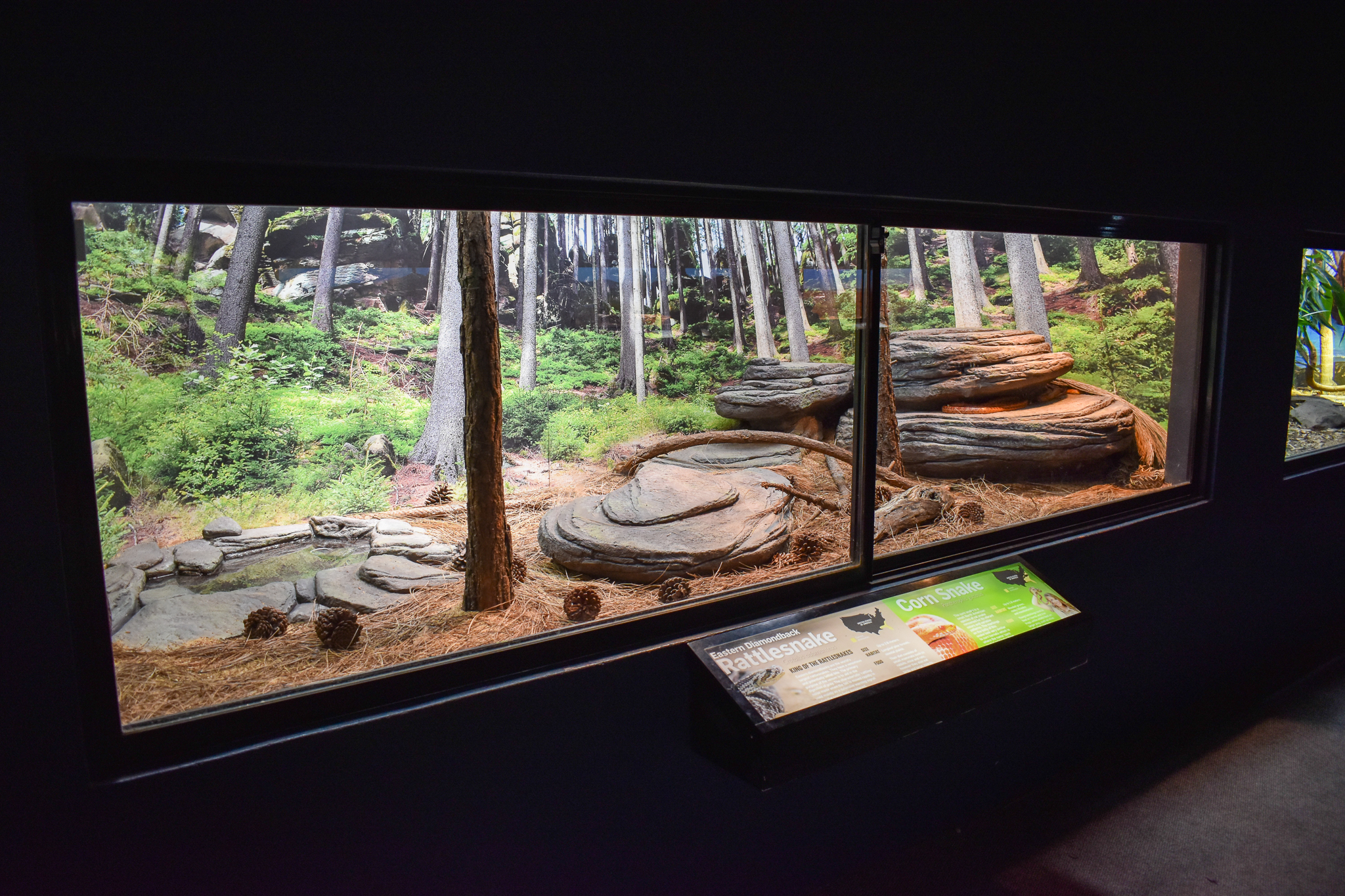 Rattlesnake/Corn Snake Enclosure