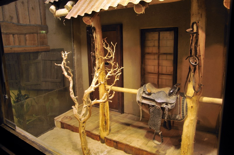 Rattlesnake enclosure at Hagenbeck