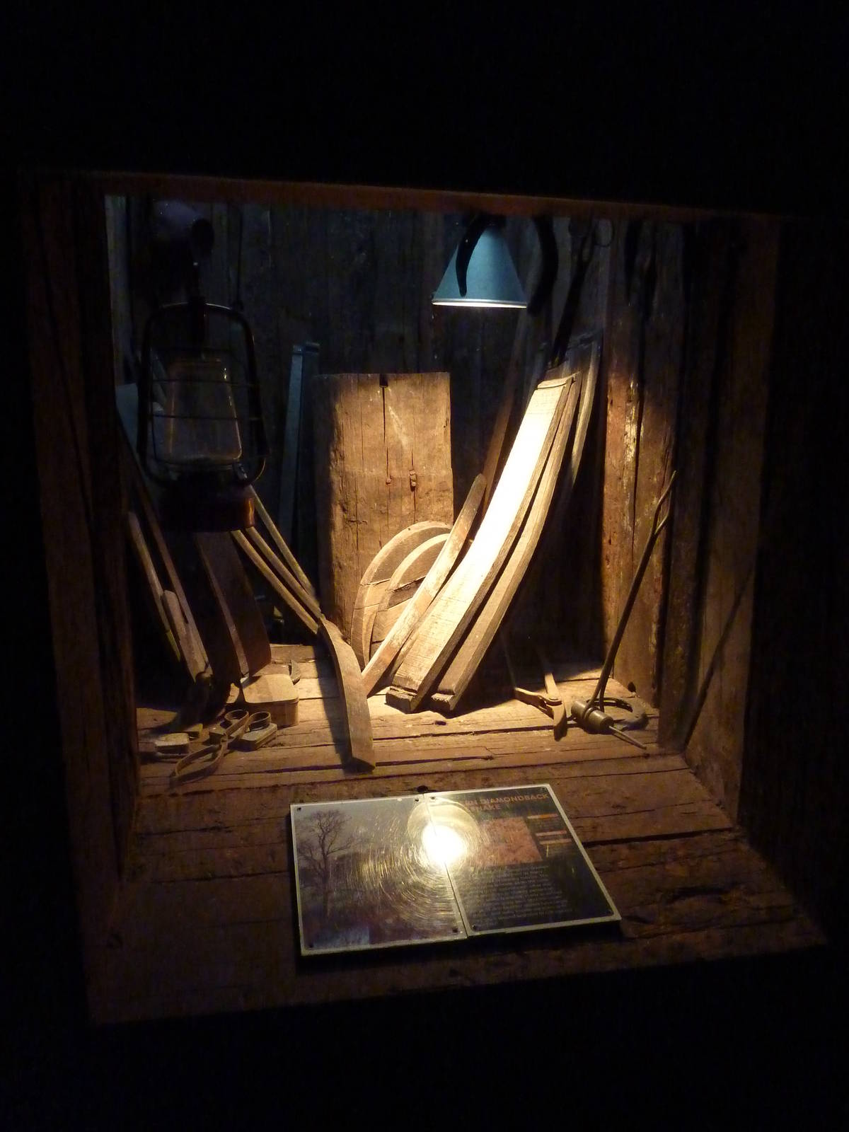 Rattlesnake enclosure