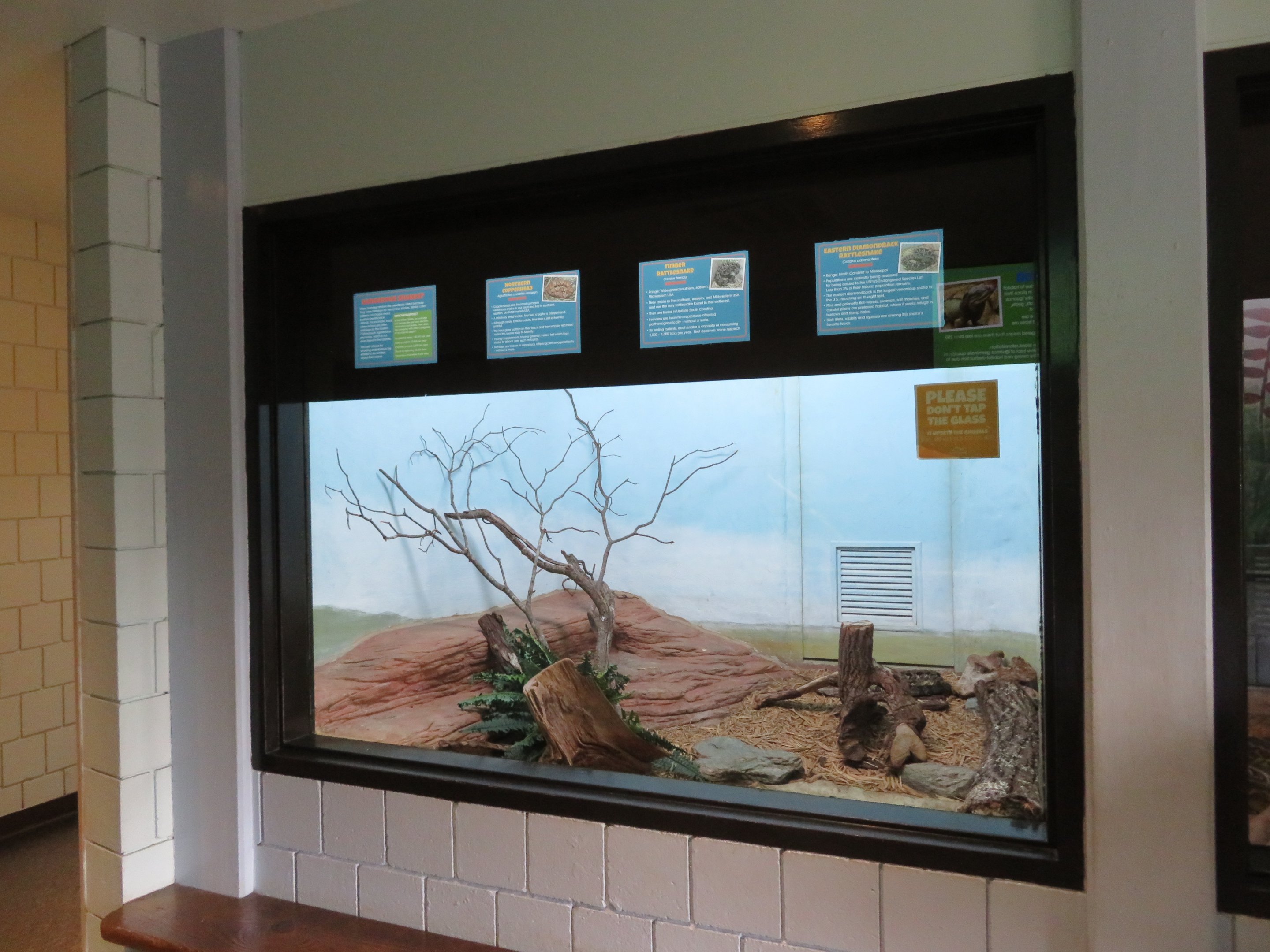 Rattlesnake Exhibit (3 species)