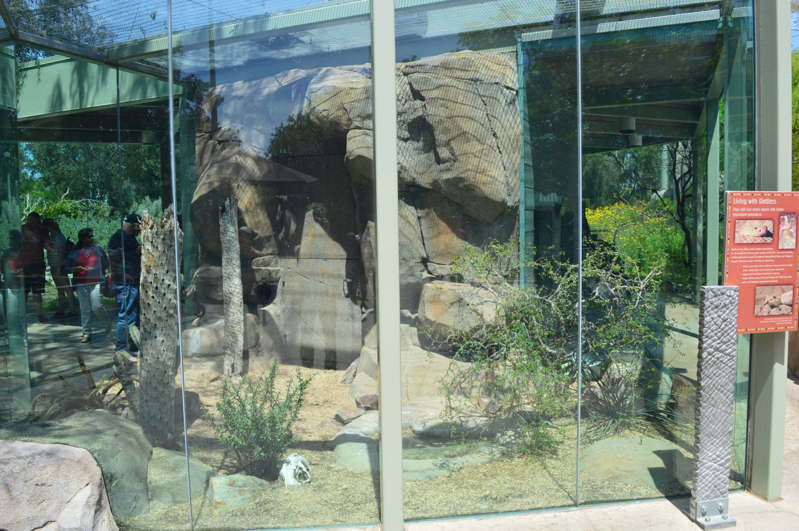 Rattlesnake Exhibit